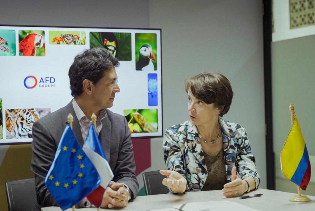 Marie-Hélène Loison, directora general adjunta de la Agence française de Développement (AFD), durante su intervención en la COP 16