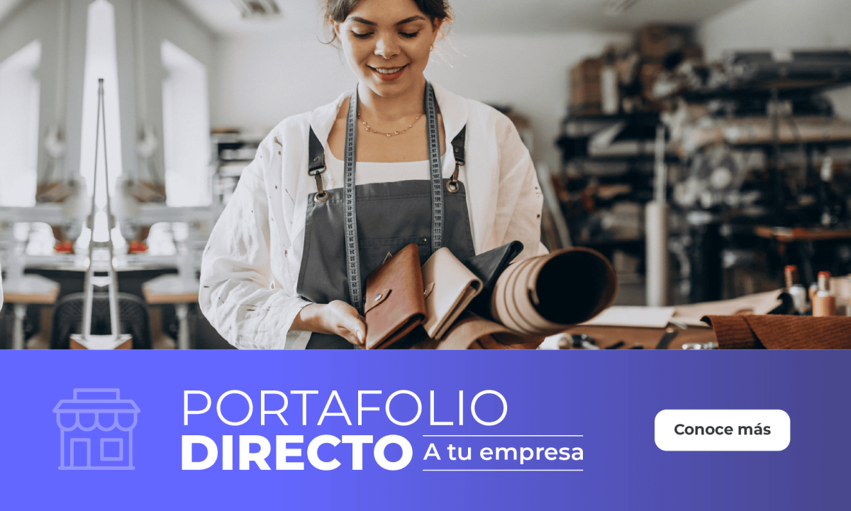 Portafolio Directo